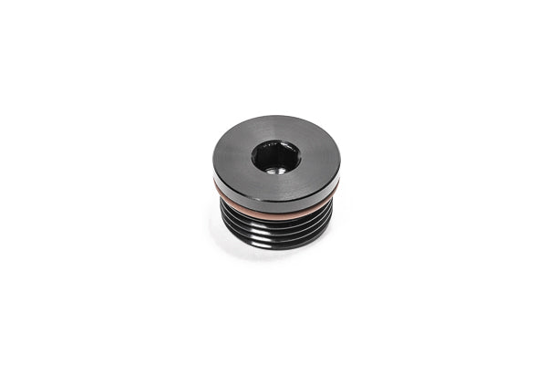 14-0688 12AN ORB Plug